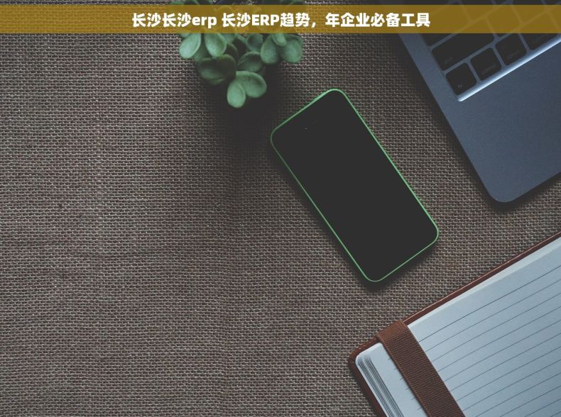 长沙长沙erp 长沙ERP趋势，年企业必备工具