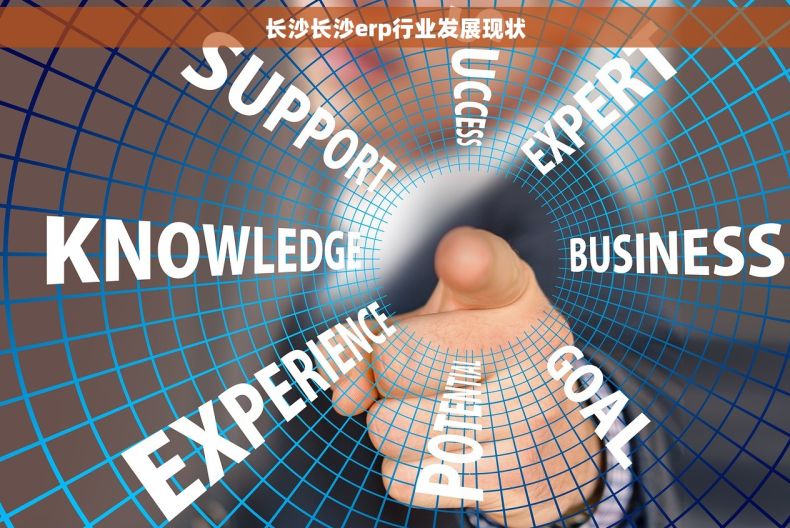 长沙长沙erp行业发展现状