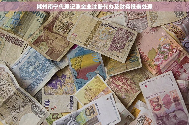郴州南宁代理记账企业注册代办及财务报表处理