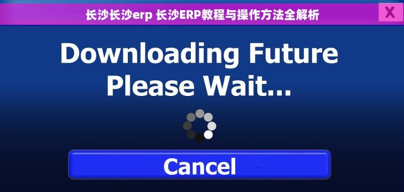 长沙长沙erp 长沙ERP教程与操作方法全解析