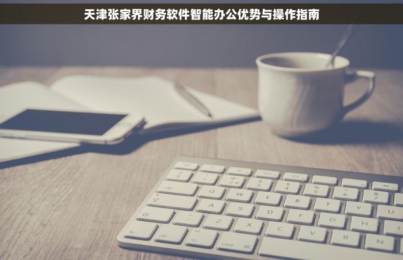 天津张家界财务软件智能办公优势与操作指南