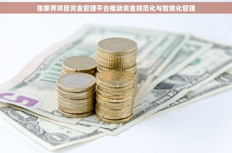 张家界项目资金管理平台推动资金规范化与智能化管理