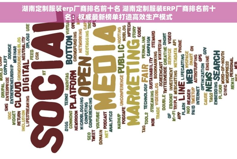 湖南定制服装erp厂商排名前十名 湖南定制服装ERP厂商排名前十名：权威最新榜单打造高效生产模式