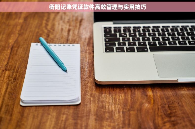 衡阳记账凭证软件高效管理与实用技巧
