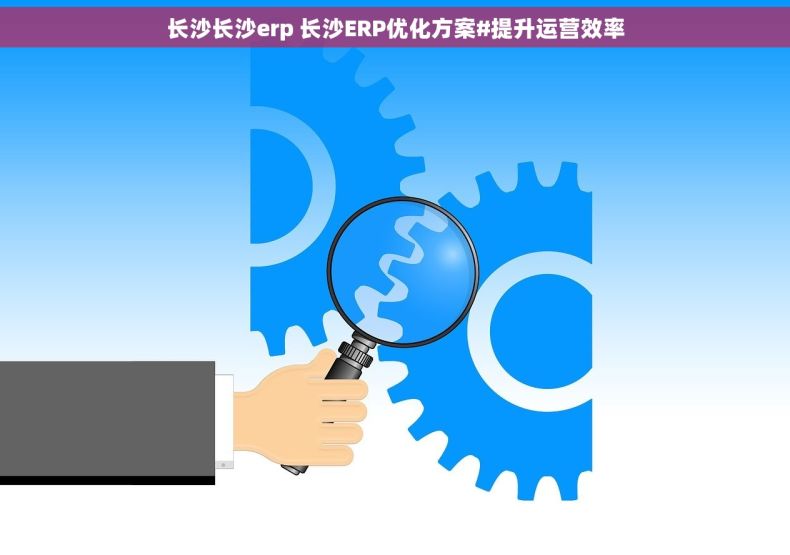 长沙长沙erp 长沙ERP优化方案#提升运营效率