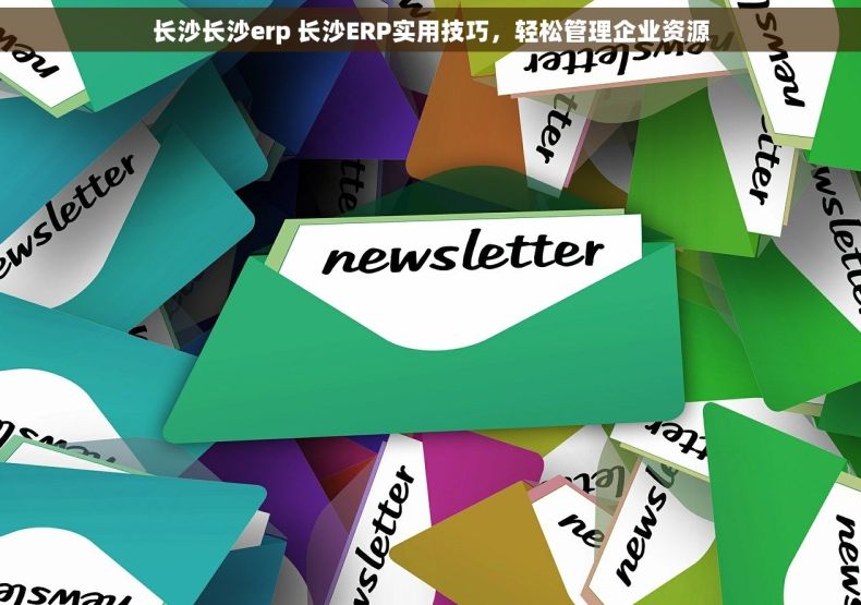 长沙长沙erp 长沙ERP实用技巧，轻松管理企业资源