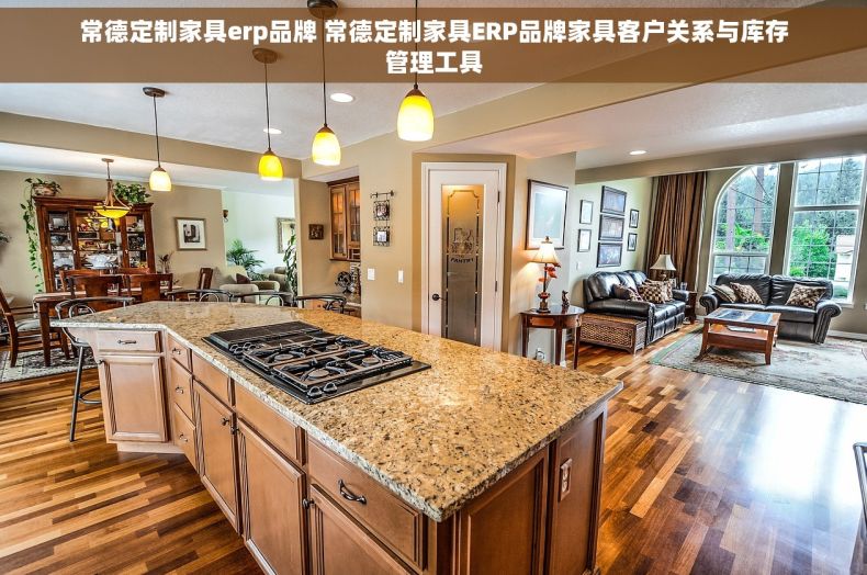 常德定制家具erp品牌 常德定制家具ERP品牌家具客户关系与库存管理工具