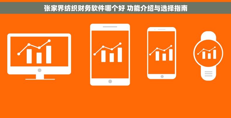 张家界纺织财务软件哪个好 功能介绍与选择指南
