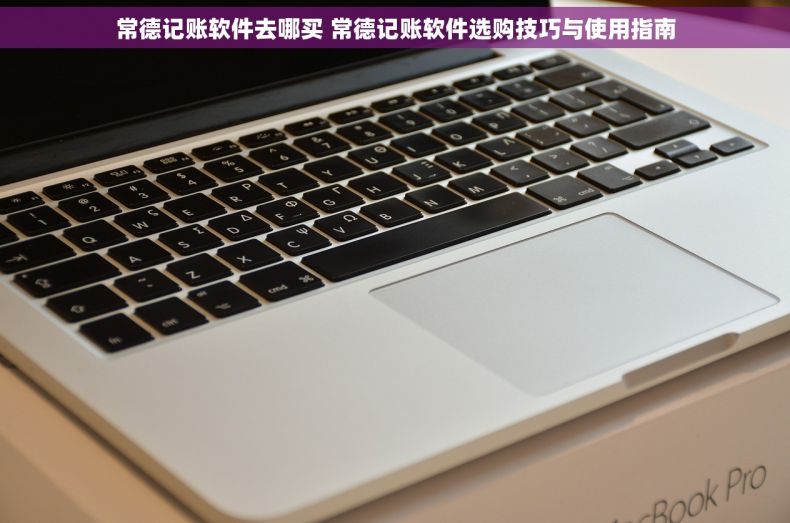 常德记账软件去哪买 常德记账软件选购技巧与使用指南