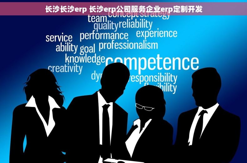长沙长沙erp 长沙erp公司服务企业erp定制开发