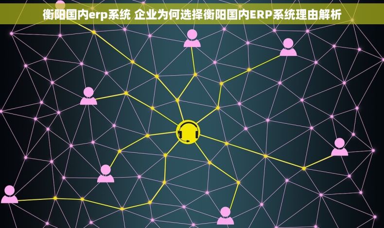 衡阳国内erp系统 企业为何选择衡阳国内ERP系统理由解析