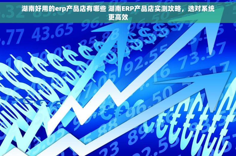 湖南好用的erp产品店有哪些 湖南ERP产品店实测攻略，选对系统更高效