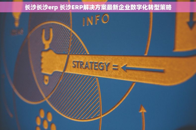 长沙长沙erp 长沙ERP解决方案最新企业数字化转型策略