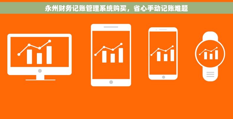 永州财务记账管理系统购买，省心手动记账难题