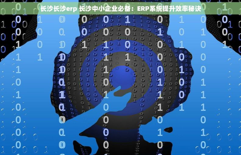 长沙长沙erp 长沙中小企业必备：ERP系统提升效率秘诀