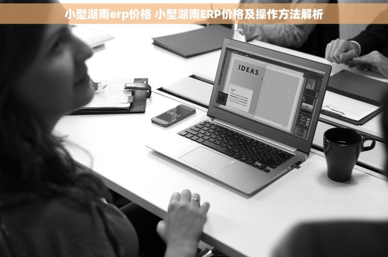 小型湖南erp价格 小型湖南ERP价格及操作方法解析