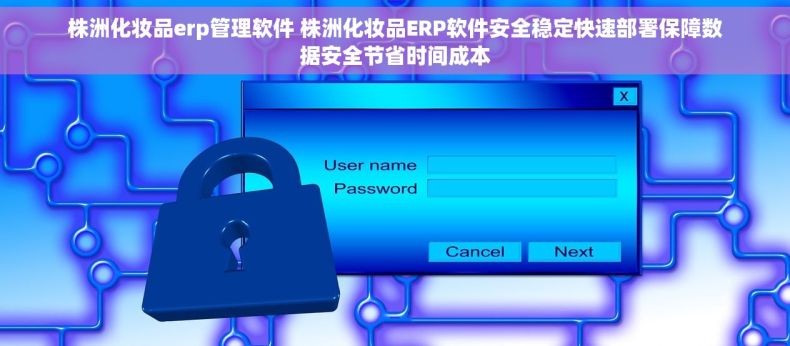 株洲化妆品erp管理软件 株洲化妆品ERP软件安全稳定快速部署保障数据安全节省时间成本