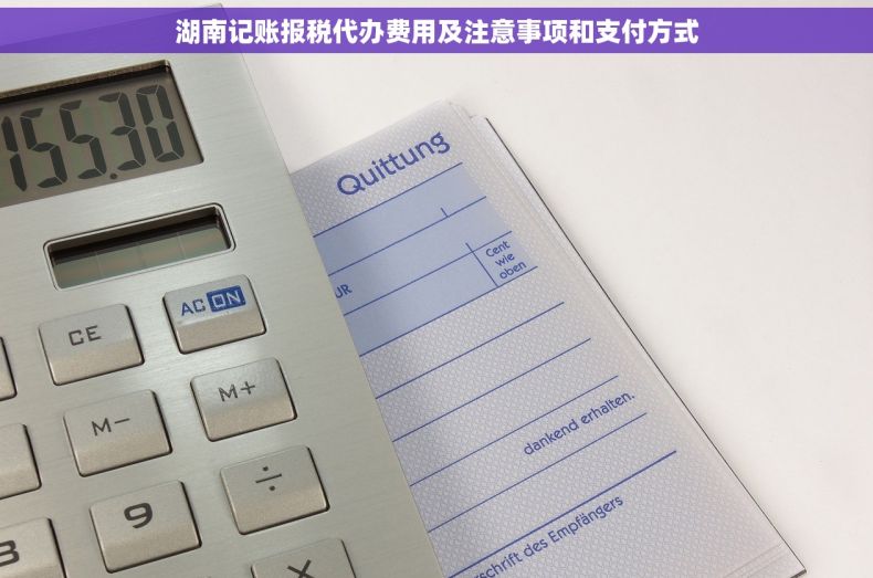 湖南记账报税代办费用及注意事项和支付方式