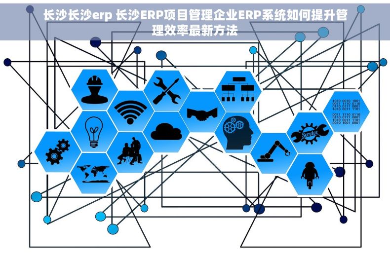 长沙长沙erp 长沙ERP项目管理企业ERP系统如何提升管理效率最新方法