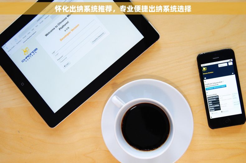 怀化出纳系统推荐，专业便捷出纳系统选择