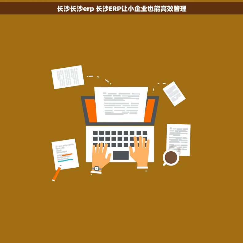 长沙长沙erp 长沙ERP让小企业也能高效管理