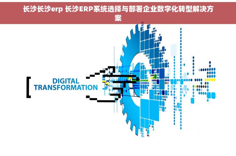 长沙长沙erp 长沙ERP系统选择与部署企业数字化转型解决方案