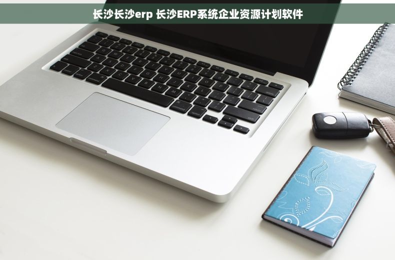 长沙长沙erp 长沙ERP系统企业资源计划软件