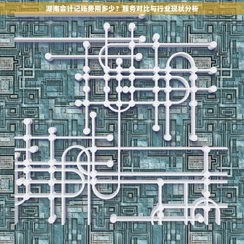湖南会计记账费用多少？服务对比与行业现状分析