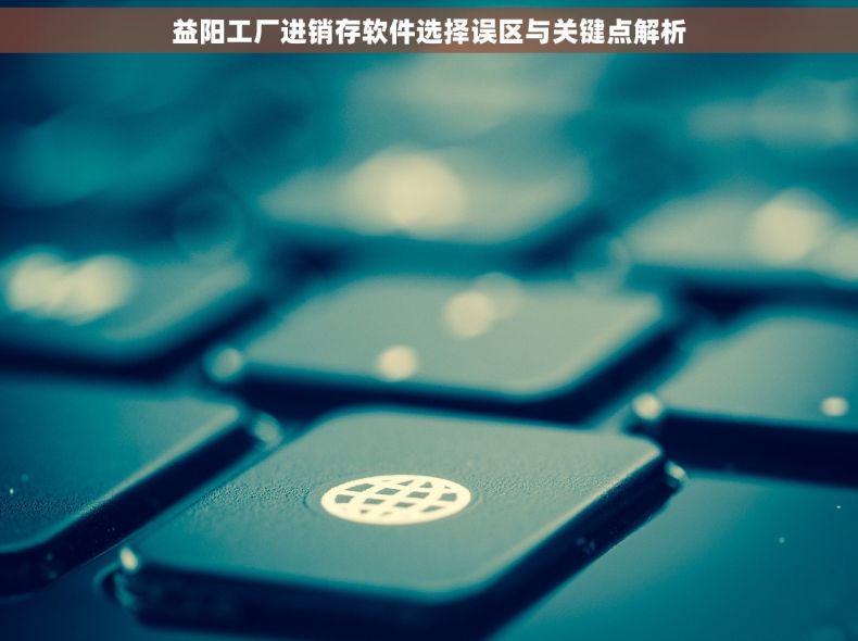 益阳工厂进销存软件选择误区与关键点解析