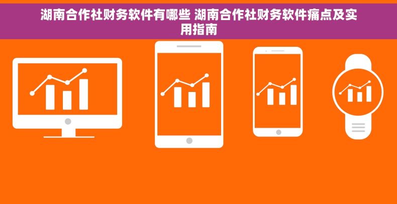 湖南合作社财务软件有哪些 湖南合作社财务软件痛点及实用指南