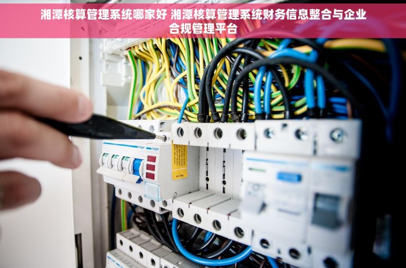 湘潭核算管理系统哪家好 湘潭核算管理系统财务信息整合与企业合规管理平台