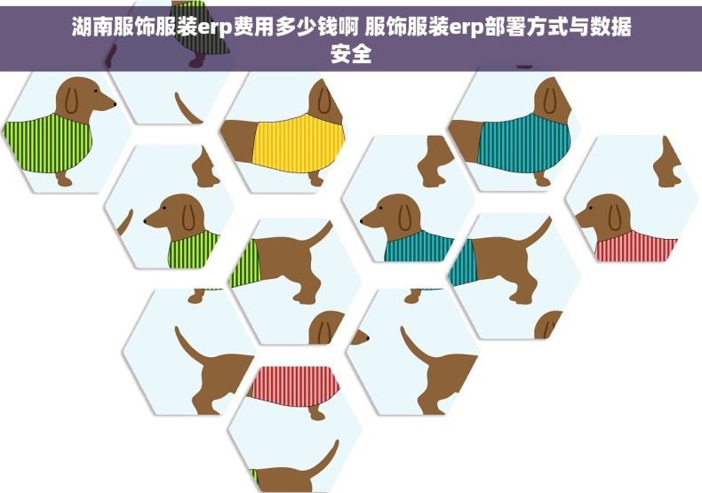 湖南服饰服装erp费用多少钱啊 服饰服装erp部署方式与数据安全
