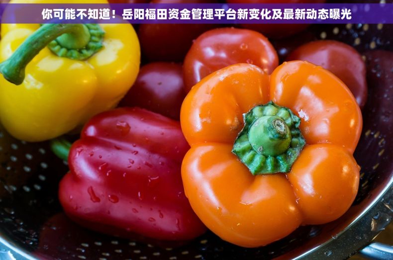 你可能不知道！岳阳福田资金管理平台新变化及最新动态曝光