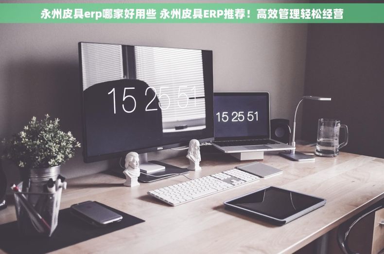 永州皮具erp哪家好用些 永州皮具ERP推荐！高效管理轻松经营