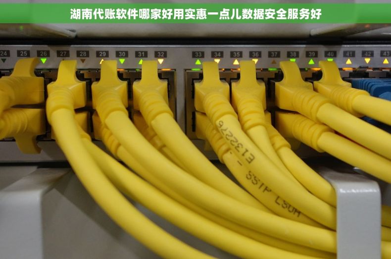 湖南代账软件哪家好用实惠一点儿数据安全服务好