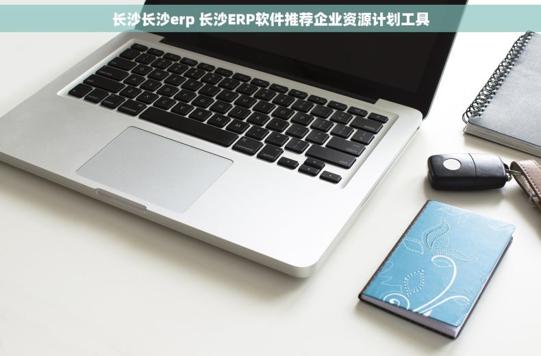 长沙长沙erp 长沙ERP软件推荐企业资源计划工具