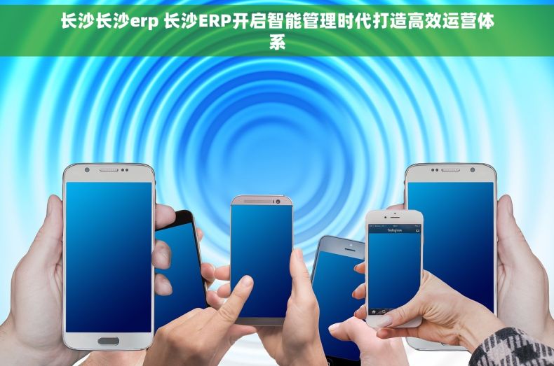 长沙长沙erp 长沙ERP开启智能管理时代打造高效运营体系