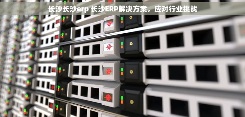 长沙长沙erp 长沙ERP解决方案，应对行业挑战
