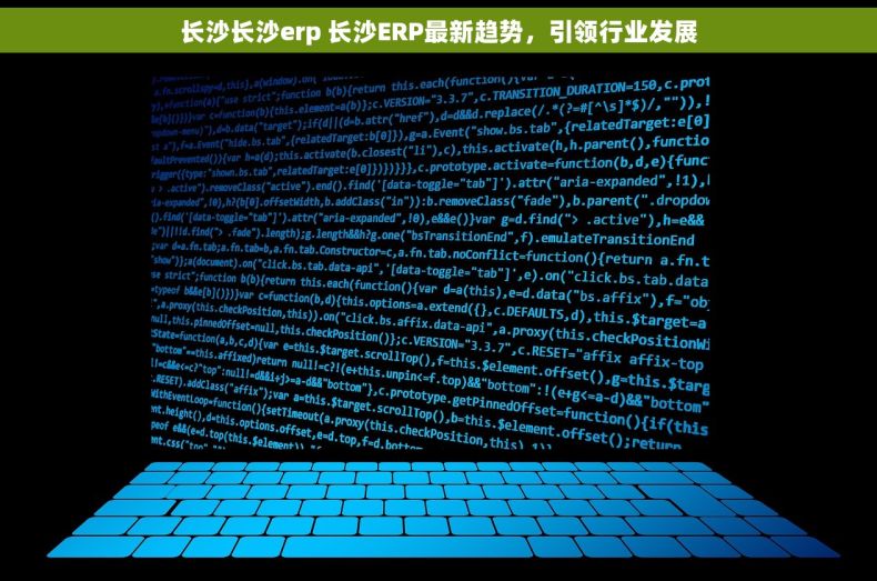 长沙长沙erp 长沙ERP最新趋势，引领行业发展