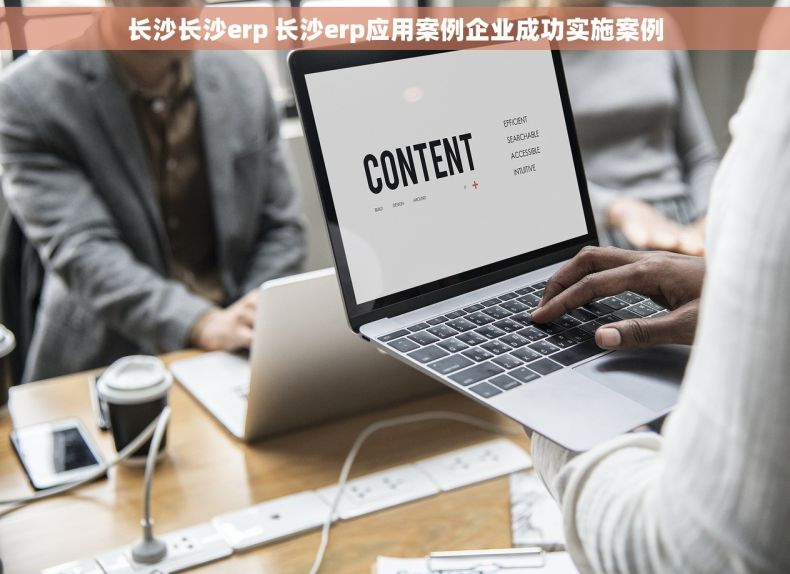 长沙长沙erp 长沙erp应用案例企业成功实施案例