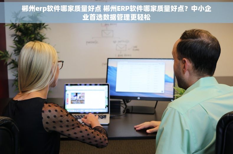 郴州erp软件哪家质量好点 郴州ERP软件哪家质量好点？中小企业首选数据管理更轻松