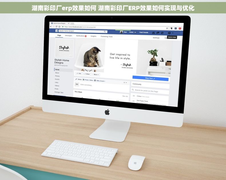 湖南彩印厂erp效果如何 湖南彩印厂ERP效果如何实现与优化