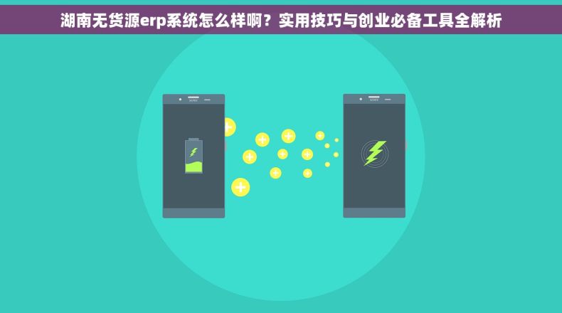湖南无货源erp系统怎么样啊？实用技巧与创业必备工具全解析