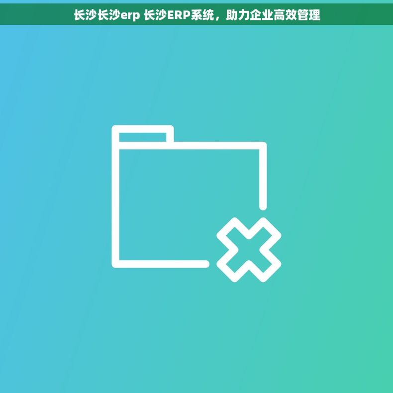 长沙长沙erp 长沙ERP系统，助力企业高效管理