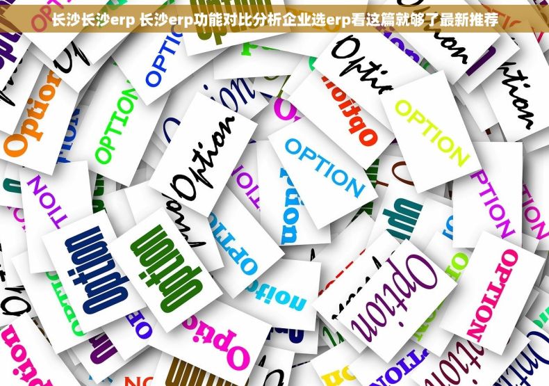 长沙长沙erp 长沙erp功能对比分析企业选erp看这篇就够了最新推荐