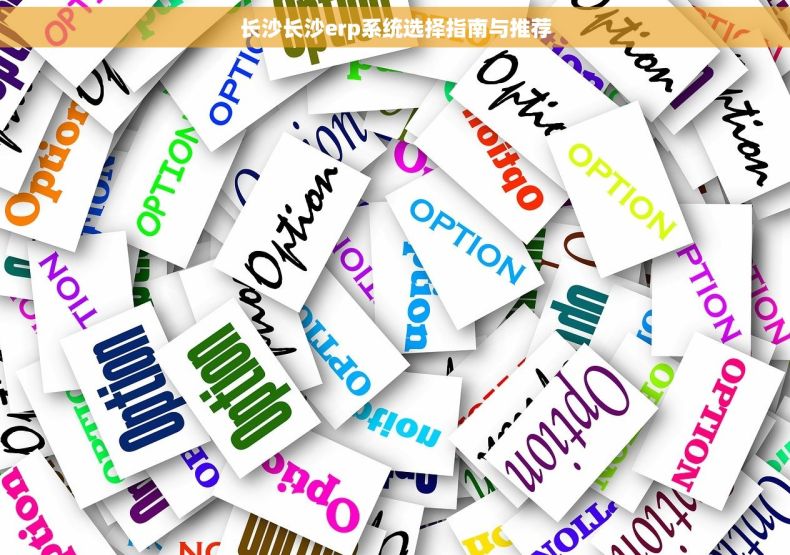 长沙长沙erp系统选择指南与推荐