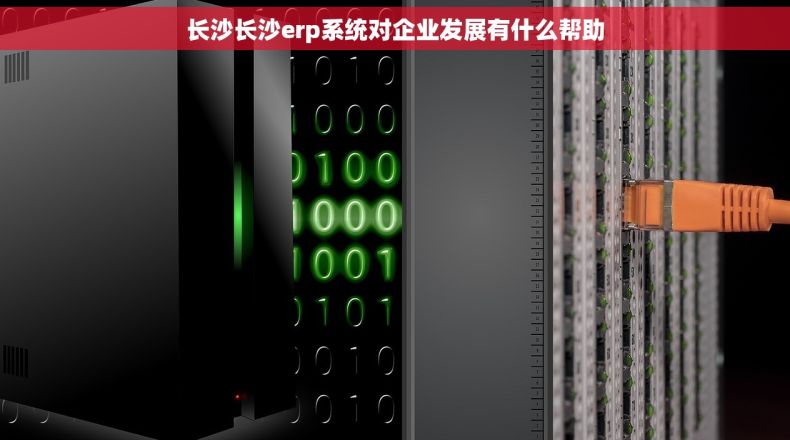 长沙长沙erp系统对企业发展有什么帮助