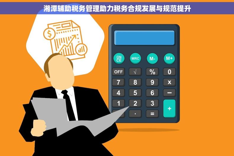 湘潭辅助税务管理助力税务合规发展与规范提升