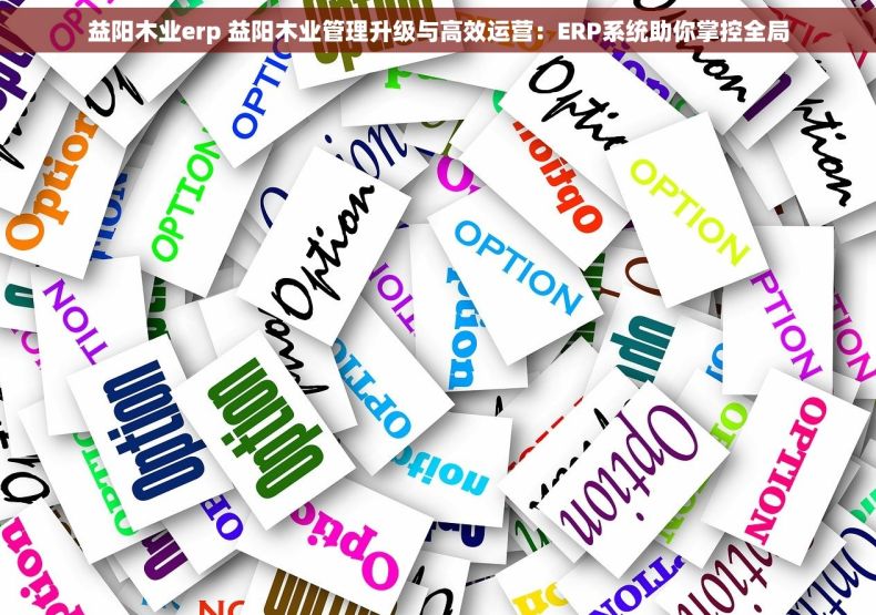 益阳木业erp 益阳木业管理升级与高效运营：ERP系统助你掌控全局