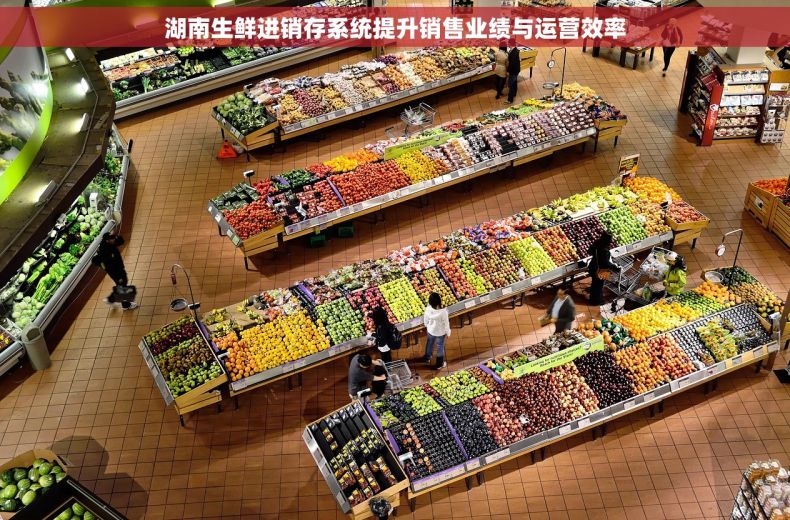 湖南生鲜进销存系统提升销售业绩与运营效率